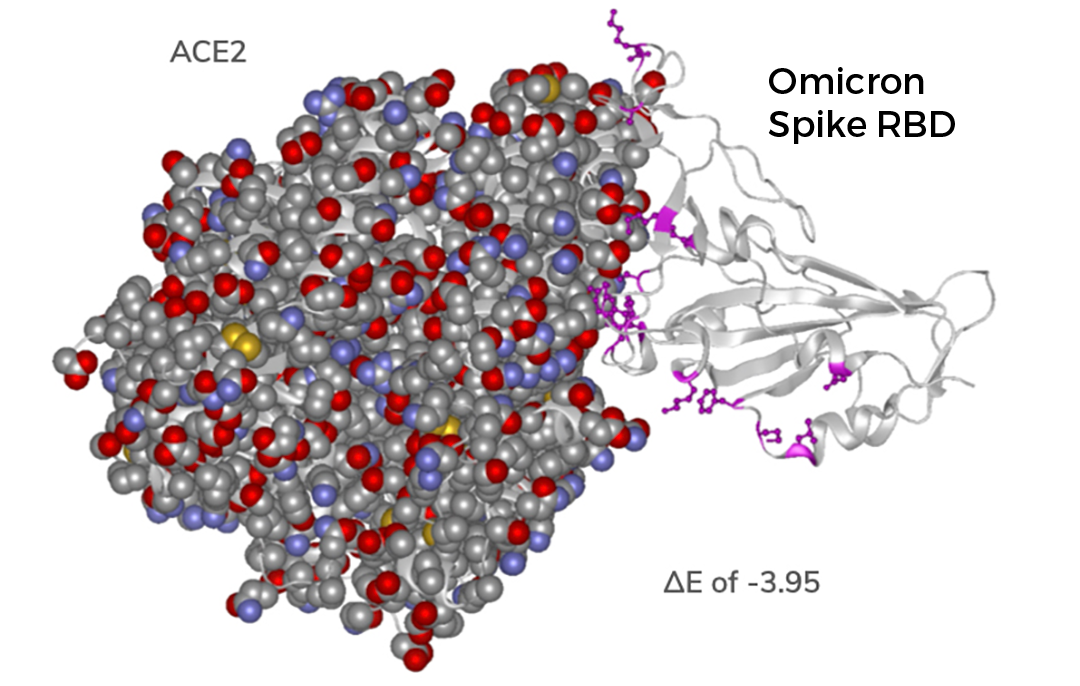 Modeling the Impact of SARSCoV2 Omicron Variant Mutations